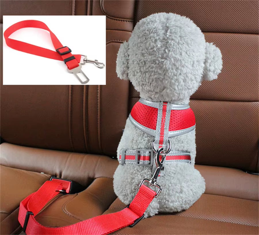 Pet Belt Safety Buckle