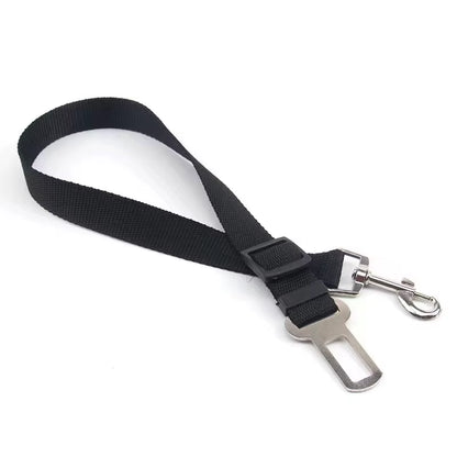 Pet Belt Safety Buckle